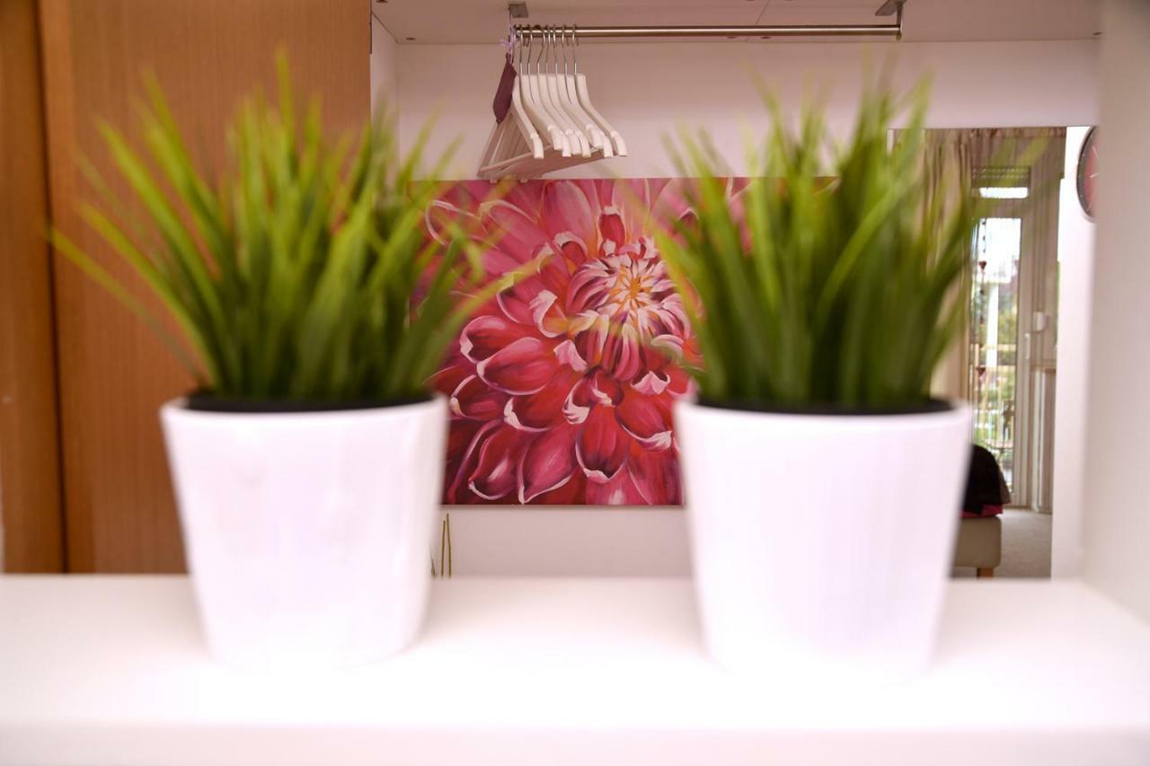 Appartamento Studio apartman D Sesvete Esterno foto